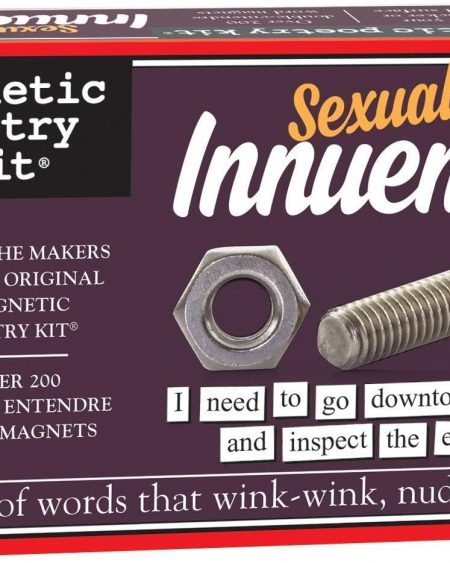 Magnetic Poetry - Sexual Innuendo Kit