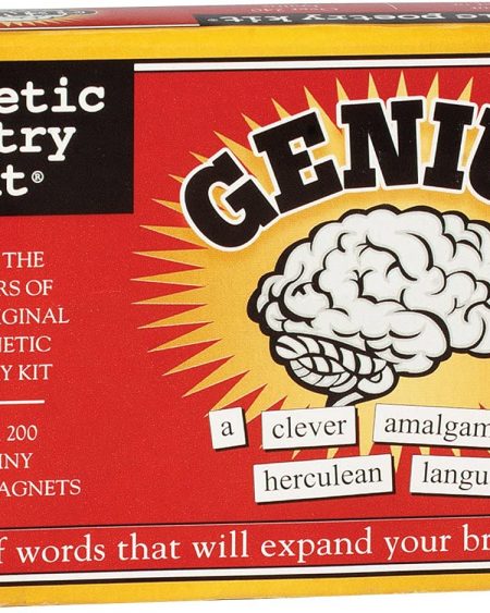 1999 Genius - Magnetic Poetry Kit
