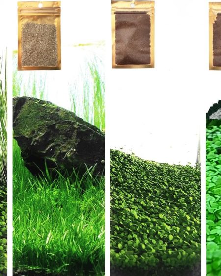 4 Pack Aquarium Plant S.E.E.D.S.