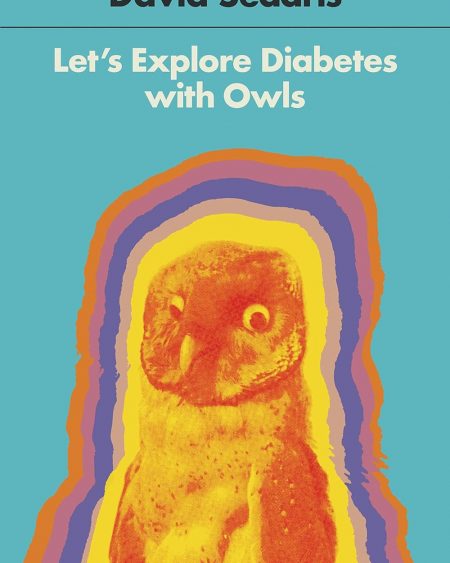 Let's Explore Diabetes with Owls (Paperback) - David Sedaris